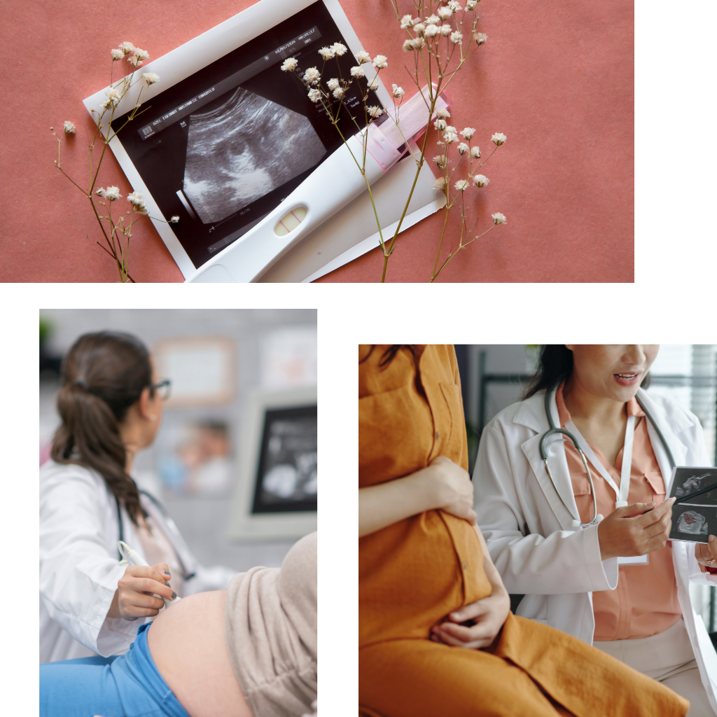 egg and sperm colloection